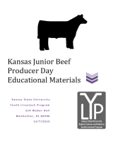 Beef Education Logo