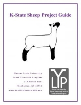 sheep front page