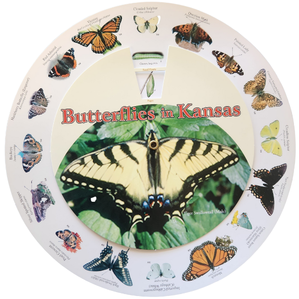 Butterfly Wheel