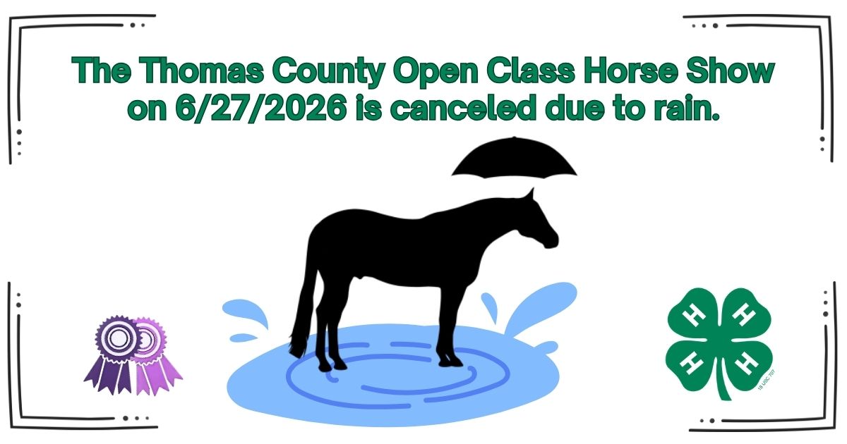 Open Class Horse Show