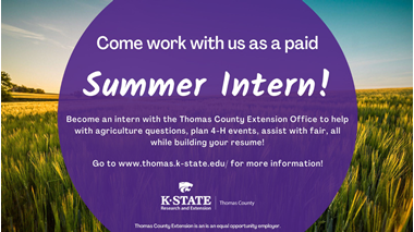 Summer Intern Position